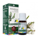 Óleo Essencial de Melaleuca Tea Tree ( melalleuca alternifolia)