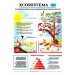 Mapa Ecossistema