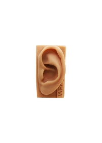 Modelo de orelha de silicone p/ estudoog:image