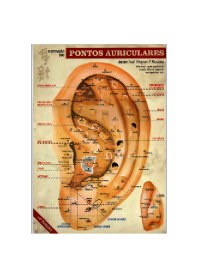 Mapa de ilustração dos pontos auriculares - 12ª edição - Profº Wagner P. Fonsecaog:image