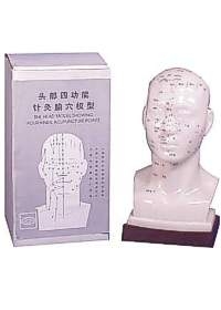 Modelo da  face com pontos acupunturaisog:image