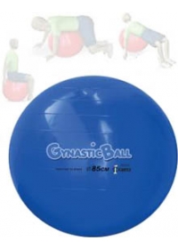 Gynastic Ball (85cm)  Azulog:image