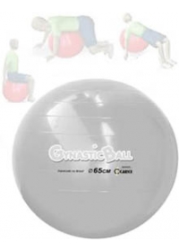 Gynastic Ball (65cm)  Cinzaog:image