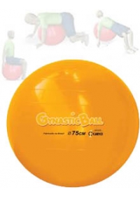 Gynastic Ball (75cm)  Laranjaog:image
