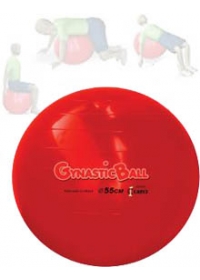 Gynastic Ball (55cm)  Vermelhaog:image