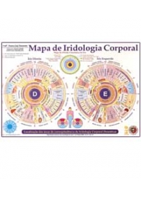 Mapa Iridologia Corporalog:image