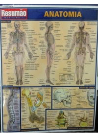 Resumão Anatomiaog:image