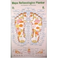 Mapa Reflexologia Plantar s/canaleta