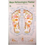 Mapa Reflexologia Plantar s/canaleta